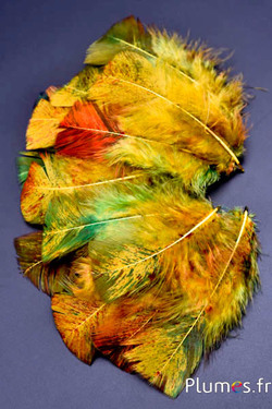 Dinde mouchetée couleur automne - 6-8 cm - curry